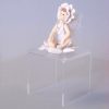 10cm-riser-acrylic-display-stands-p313-7423_zoom