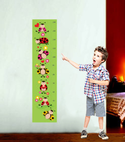 Boy Cetveli Duvar Sticker